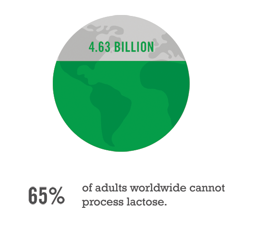 65% of adults worldwide cannot process lactose