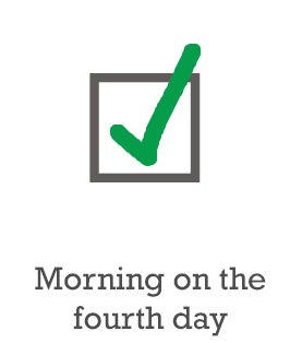 Morning on the fourth day