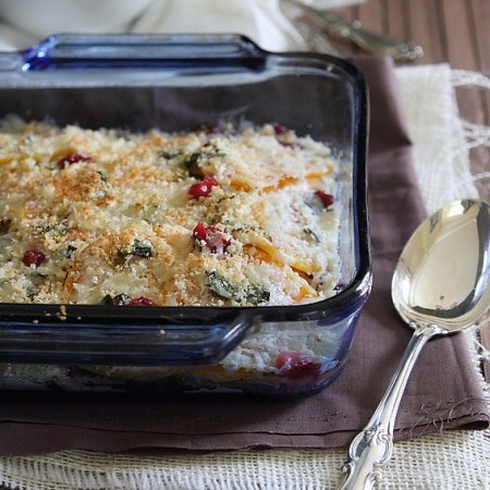Butternut Squash and Cranberry Gratin